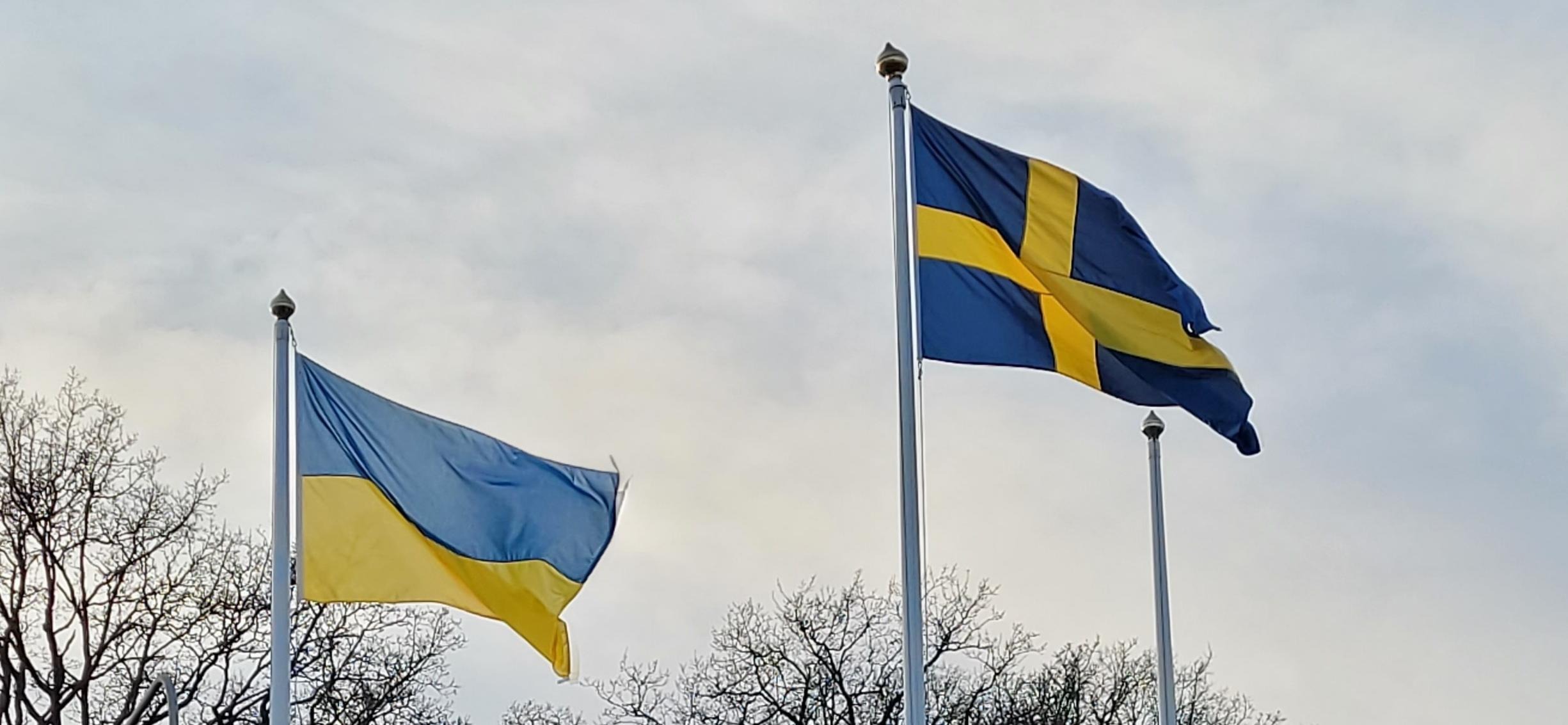 ukrainsk och svensk flagga mot himmel
