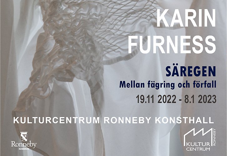 Karin Furness